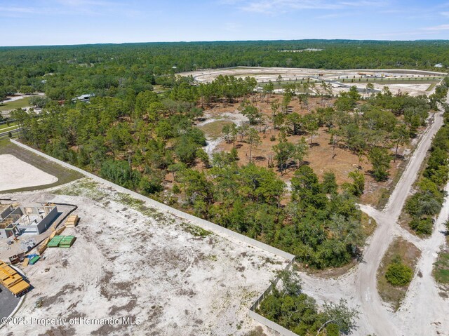 11011 Bourassa Blvd, Weeki Wachee, FL 34613 - photo 32
