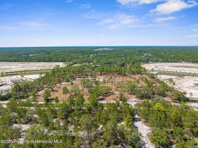 11011 Bourassa Blvd, Weeki Wachee, FL 34613