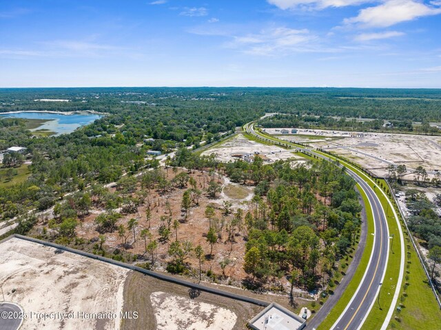 11011 Bourassa Blvd, Weeki Wachee, FL 34613 - photo 34