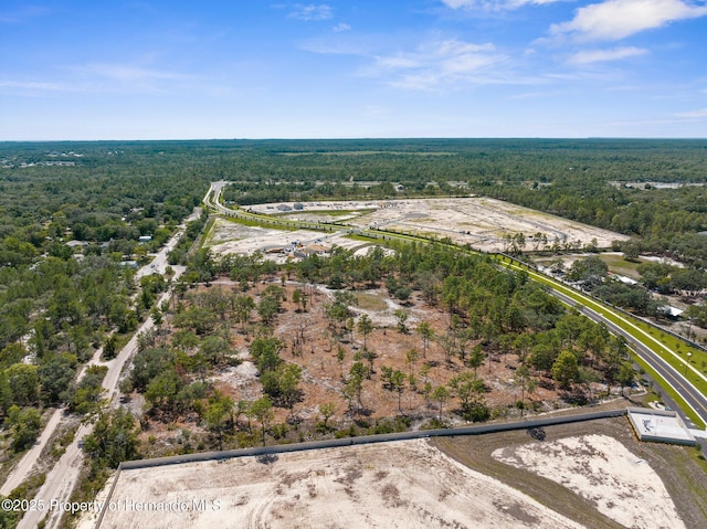 11011 Bourassa Blvd, Weeki Wachee, FL 34613