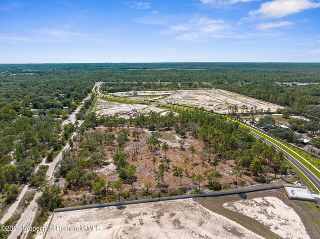 11011 Bourassa Blvd, Weeki Wachee, FL 34613 - photo 35