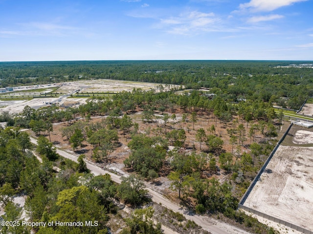 11011 Bourassa Blvd, Weeki Wachee, FL 34613