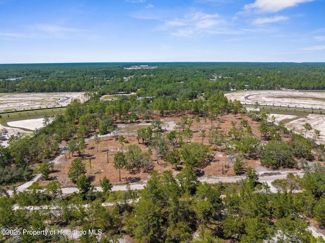 11011 Bourassa Blvd, Weeki Wachee, FL 34613