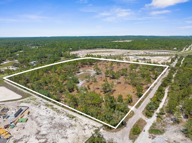 11011 Bourassa Blvd, Weeki Wachee, FL 34613