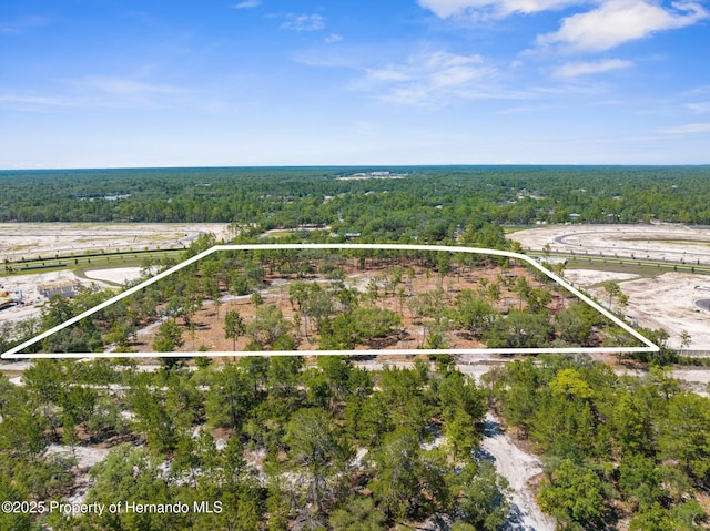 11011 Bourassa Blvd, Weeki Wachee, FL 34613