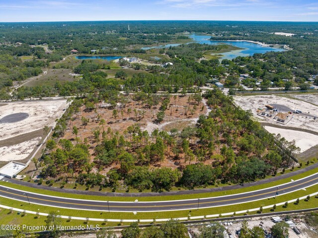 11011 Bourassa Blvd, Weeki Wachee, FL 34613