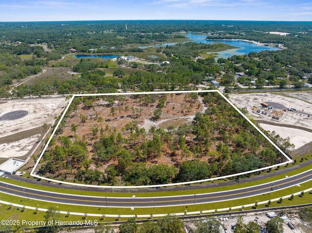 11011 Bourassa Blvd, Weeki Wachee, FL 34613