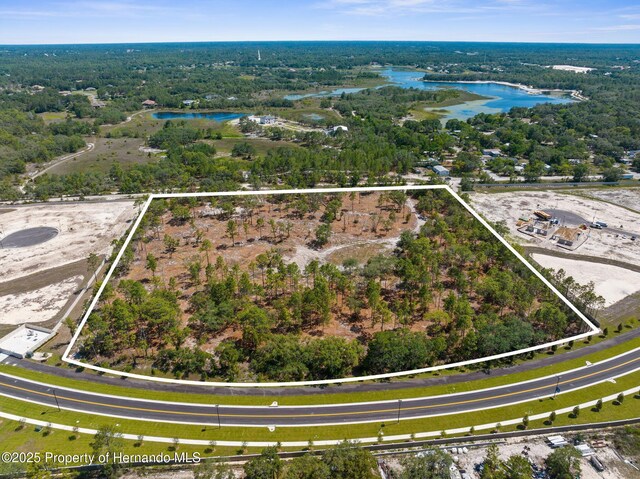 11011 Bourassa Blvd, Weeki Wachee, FL 34613 - photo 41