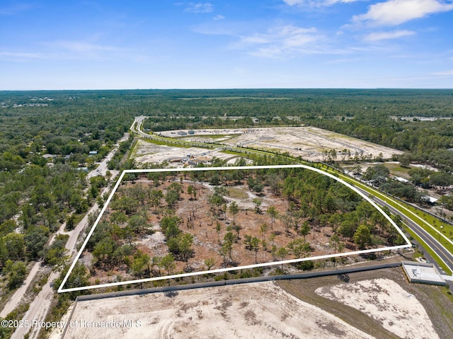 11011 Bourassa Blvd, Weeki Wachee, FL 34613