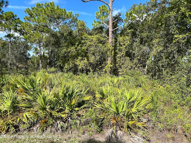 LOT9 Parrot Rd, Weeki Wachee FL, 34614 land for sale