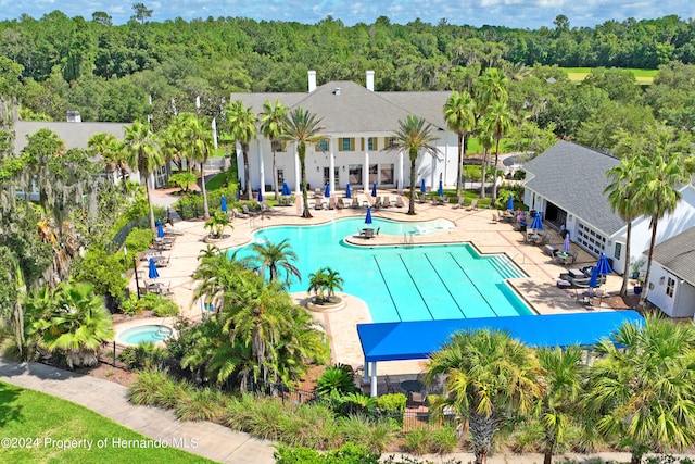 view of pool with a patio