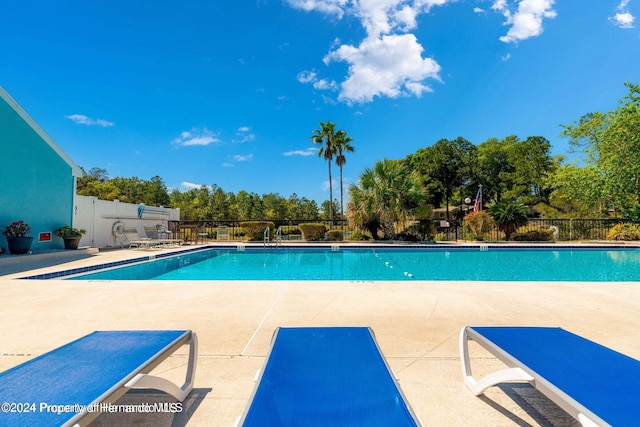 view of swimming pool