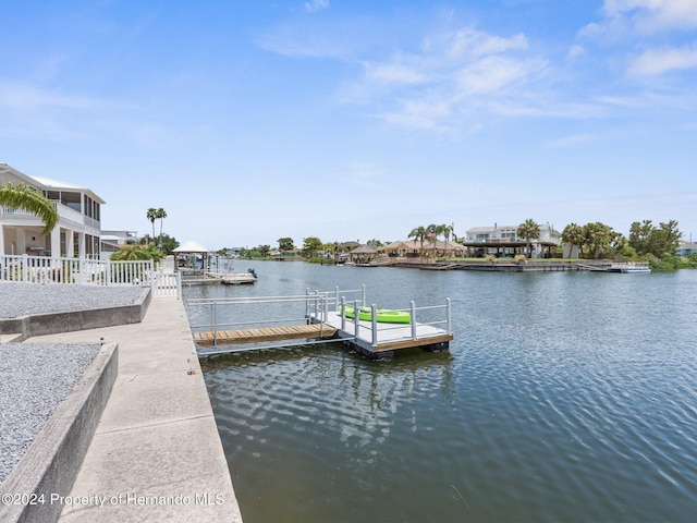 dock area featuring a water view