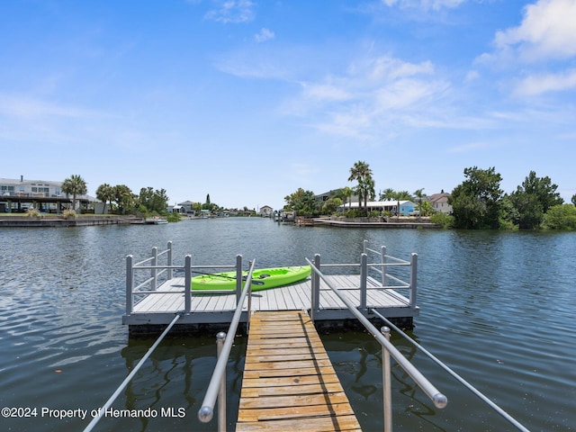 dock area with a water view