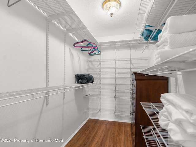 spacious closet featuring wood-type flooring