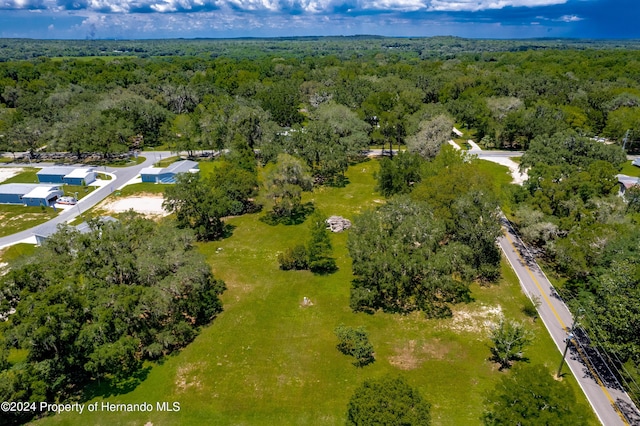 0 Croom Rd, Brooksville, FL 34601 - photo 4