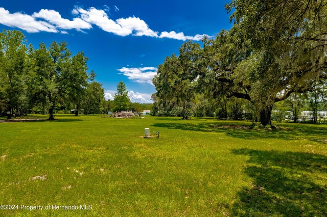 0 Croom Rd, Brooksville, FL 34601 - photo 5