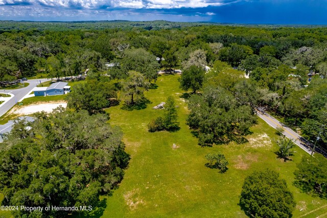 0 Croom Rd, Brooksville, FL 34601 - photo 9