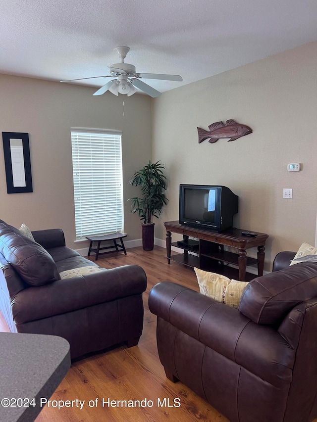 living room featuring hardwood / wood-style floors, ceiling fan, and a textured ceiling