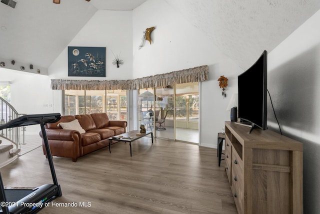 living room featuring a textured ceiling, high vaulted ceiling, a wealth of natural light, and hardwood / wood-style flooring