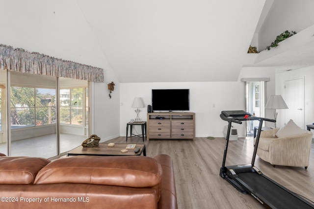 living room with light hardwood / wood-style floors and lofted ceiling