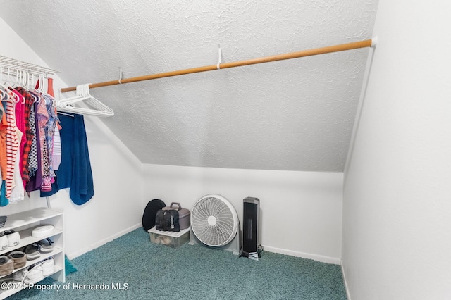 spacious closet with vaulted ceiling and carpet