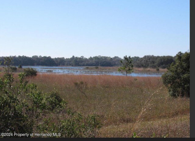 00 Scenic Lake Dr, Weeki Wachee, FL 34613 - photo 1
