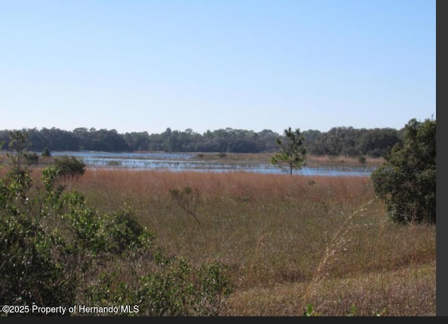 00 Scenic Lake Dr, Weeki Wachee, FL 34613 - photo 2