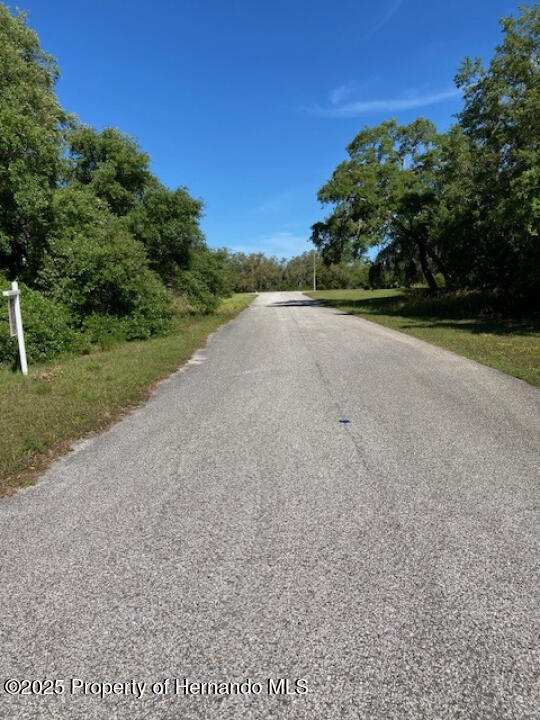 00 Scenic Lake Dr, Weeki Wachee, FL 34613 - photo 4