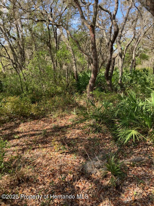 00 Scenic Lake Dr, Weeki Wachee, FL 34613 - photo 13