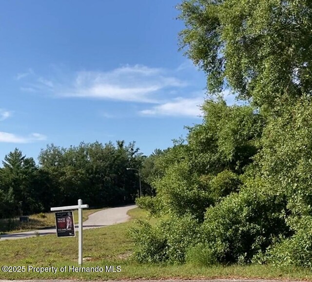 00 Scenic Lake Dr, Weeki Wachee, FL 34613 - photo 17