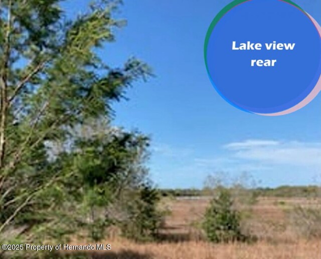 00 Scenic Lake Dr, Weeki Wachee, FL 34613 - photo 19
