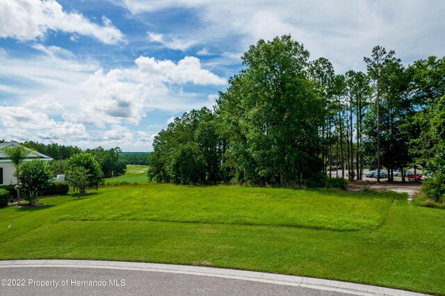 5409 Grand Summit Dr, Brooksville, FL 34601 - photo 2