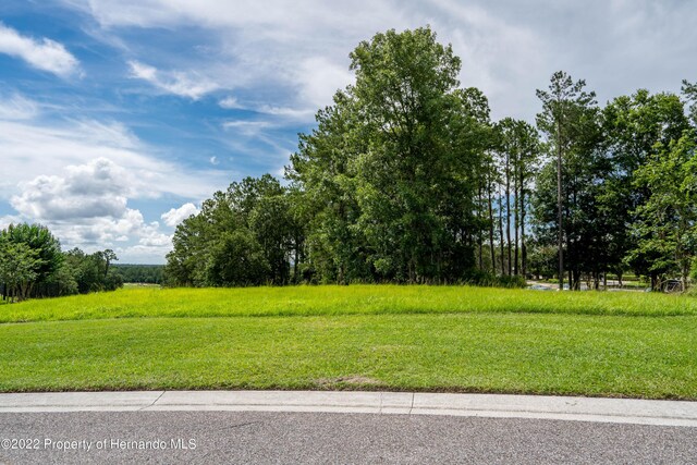 5409 Grand Summit Dr, Brooksville, FL 34601 - photo 13