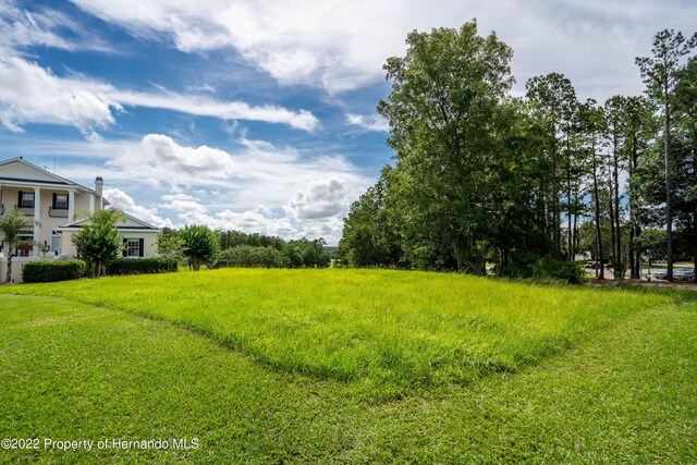 5409 Grand Summit Dr, Brooksville, FL 34601 - photo 15