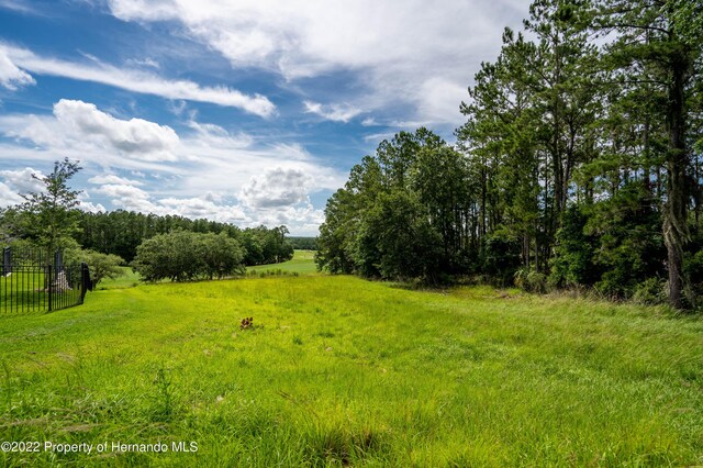 5409 Grand Summit Dr, Brooksville, FL 34601 - photo 16