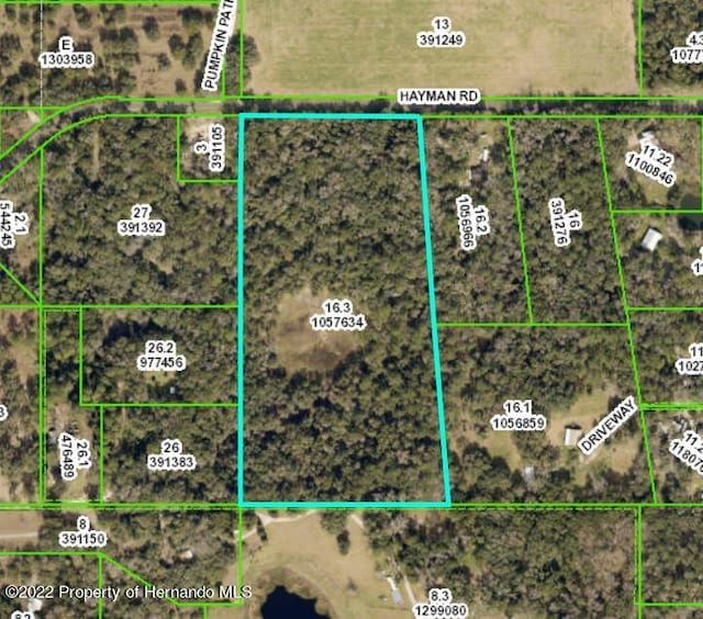 0 Hayman Rd, Brooksville FL, 34602 land for sale