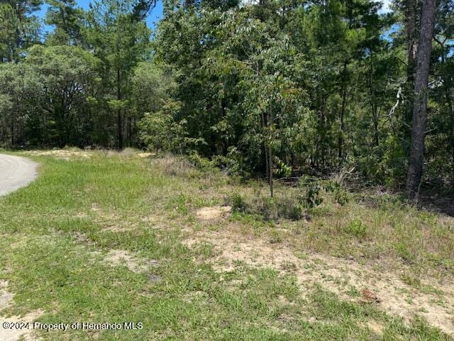 4 Bellis Ct, Homosassa FL, 34446 land for sale