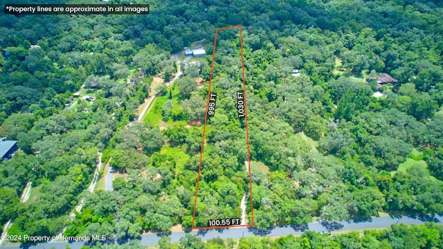 5278 Cyril Dr, Dade City, FL 33523 - photo 2