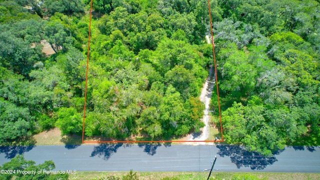 5278 Cyril Dr, Dade City, FL 33523 - photo 3