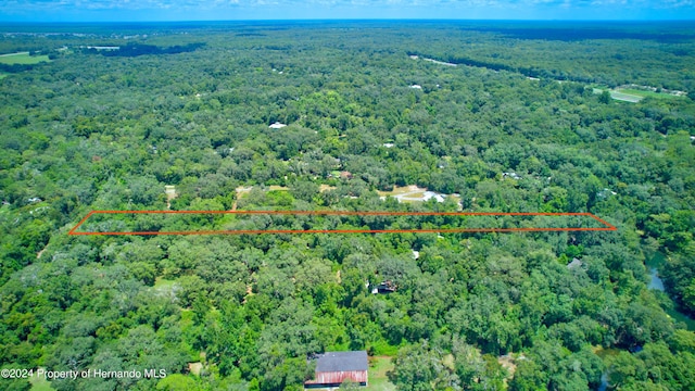 5278 Cyril Dr, Dade City, FL 33523 - photo 4