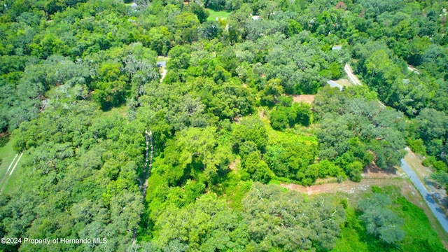 5278 Cyril Dr, Dade City, FL 33523 - photo 14
