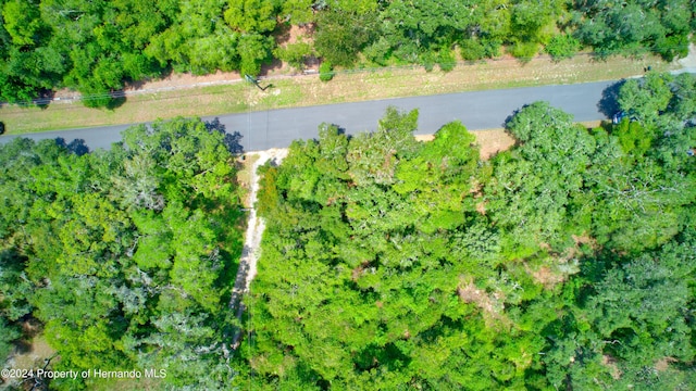 5278 Cyril Dr, Dade City, FL 33523 - photo 15
