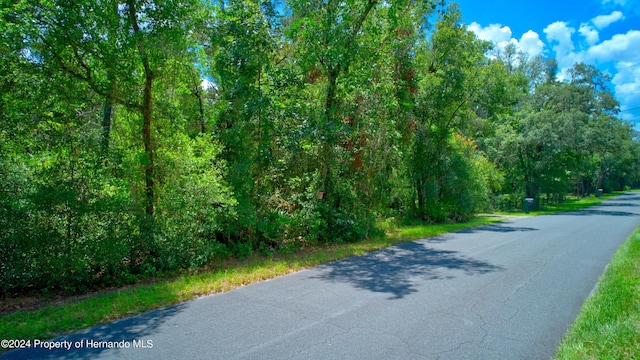 5278 Cyril Dr, Dade City, FL 33523 - photo 18