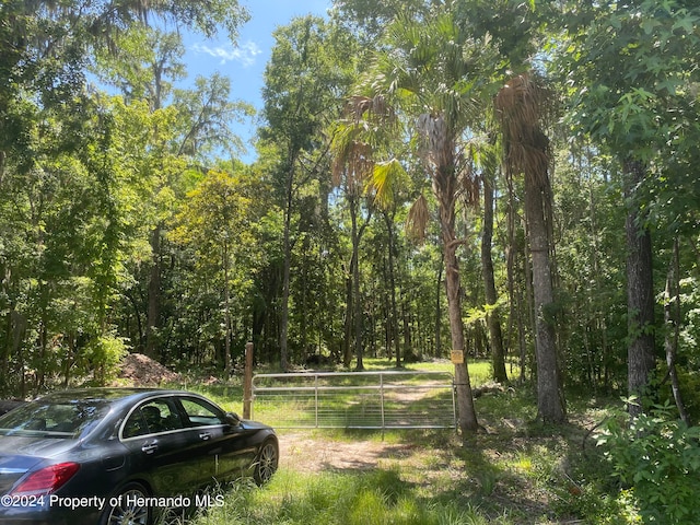 Listing photo 2 for 0 Snow Memorial Hwy, Brooksville FL 34601