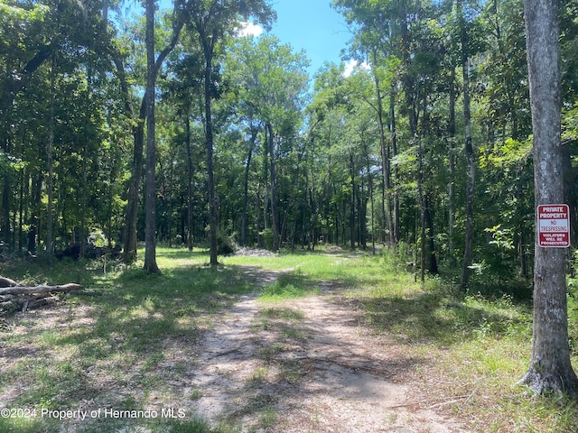 Listing photo 3 for 0 Snow Memorial Hwy, Brooksville FL 34601