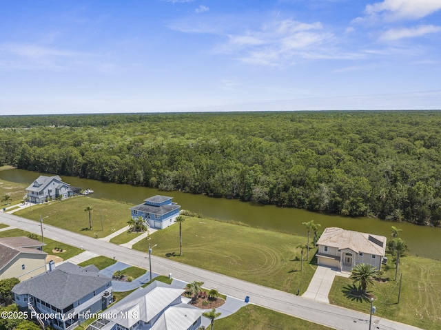 3520 Jewfish Dr, Hernando Beach, FL 34607 - photo 10