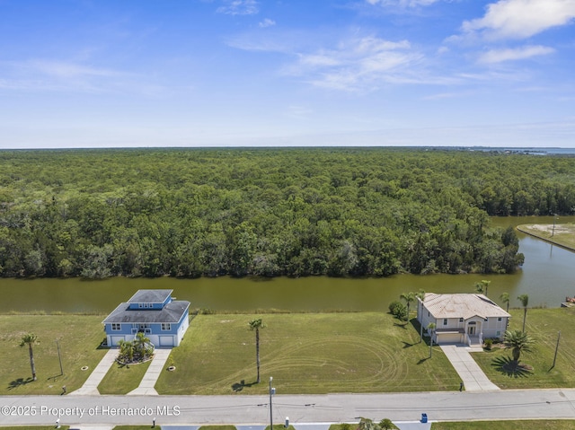 3520 Jewfish Dr, Hernando Beach, FL 34607 - photo 11