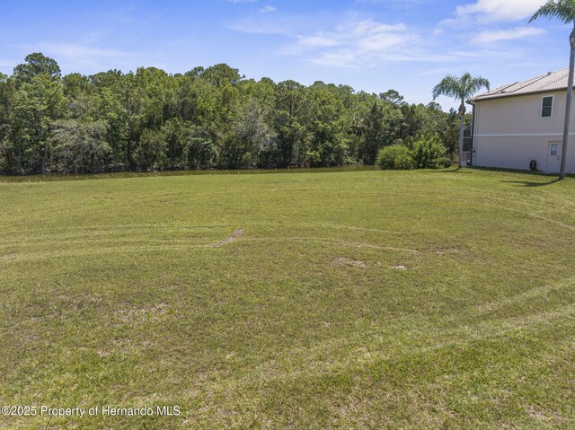 3520 Jewfish Dr, Hernando Beach, FL 34607 - photo 18