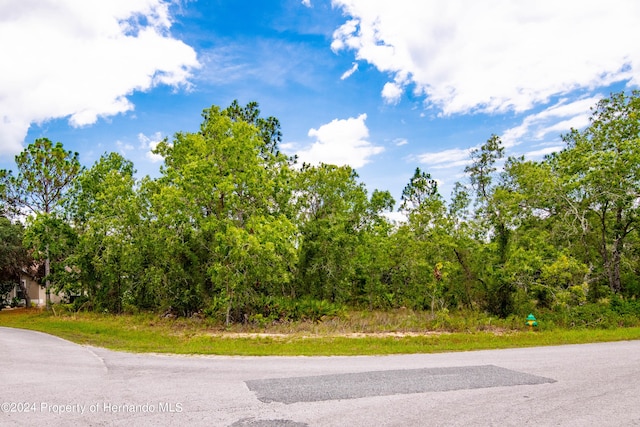 28 Smilax Ct N, Homosassa FL, 34446 land for sale